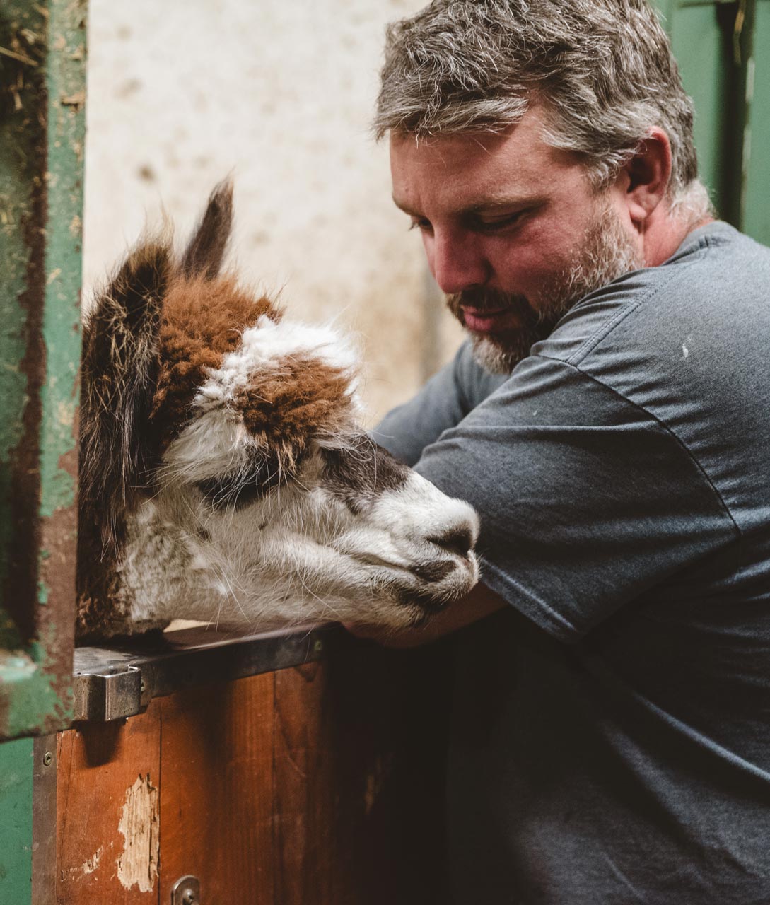 Le propri&eacute;taire avec un alpagas