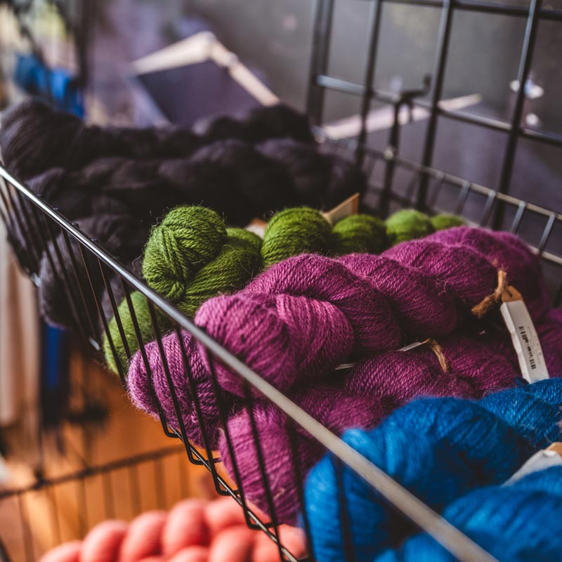 Vari&eacute;t&eacute; d'&eacute;cheveaux